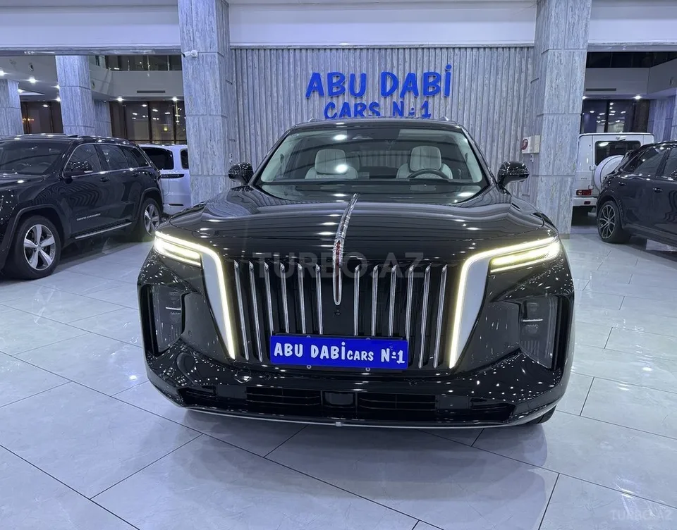 Hongqi E-HS9 — foto 2/4