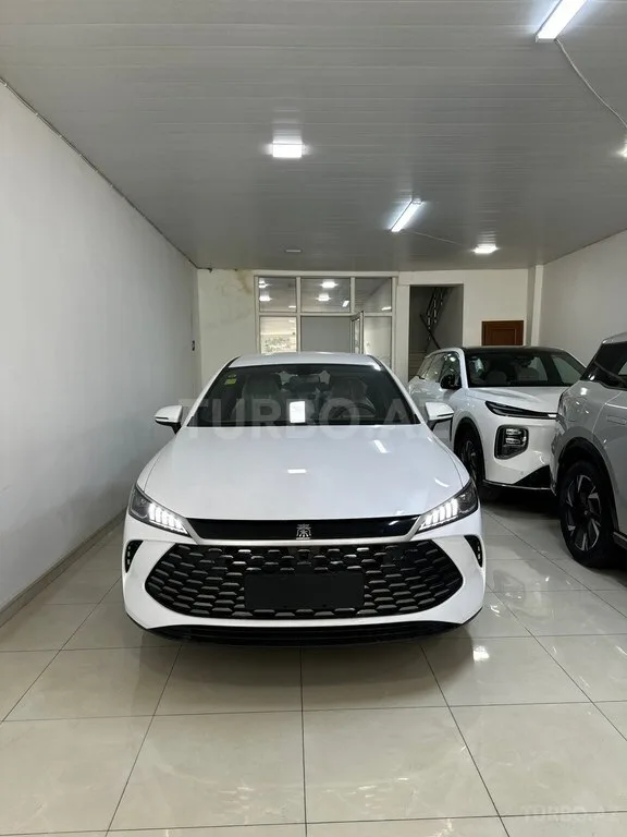 BYD Qin Plus — foto 1/4