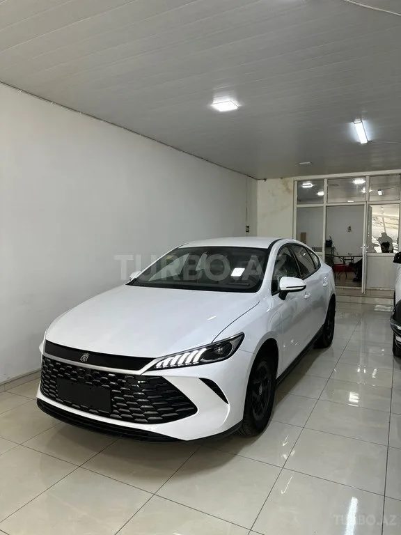 BYD Qin Plus — foto 2/4