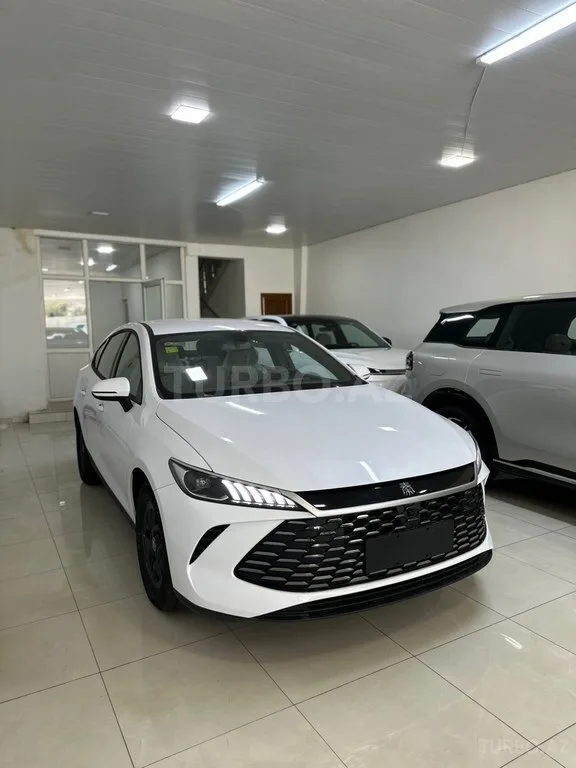 BYD Qin Plus — foto 3/4