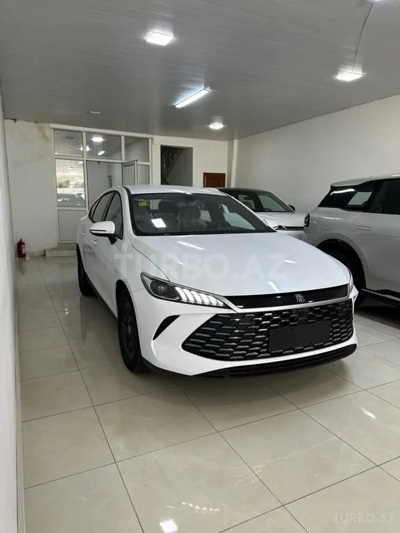BYD Qin Plus — foto 4/4