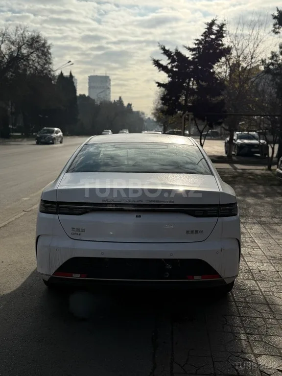 BYD Destroyer 05 — foto 4/4
