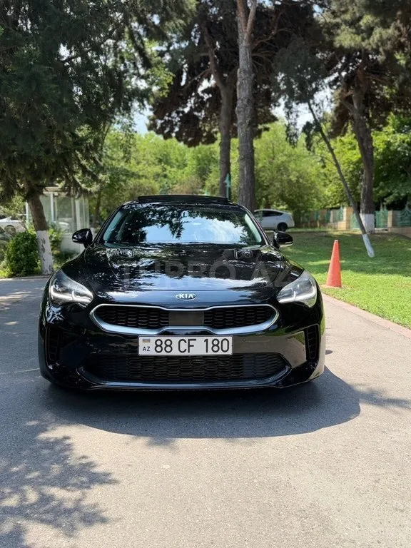 Kia Stinger — foto 2/4