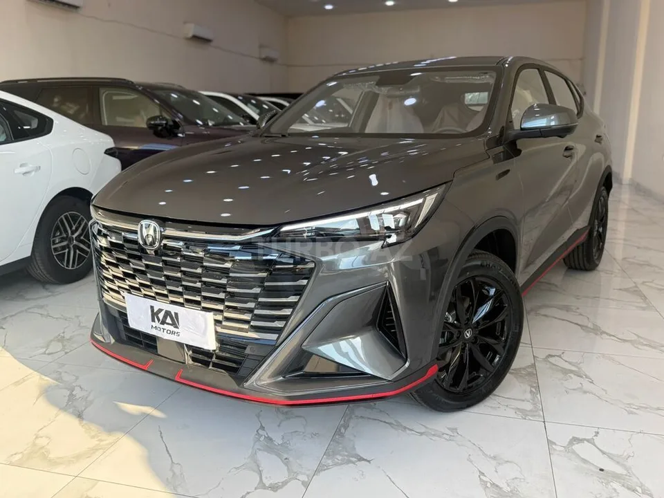 Changan Oshan X5 Plus — foto 1/4
