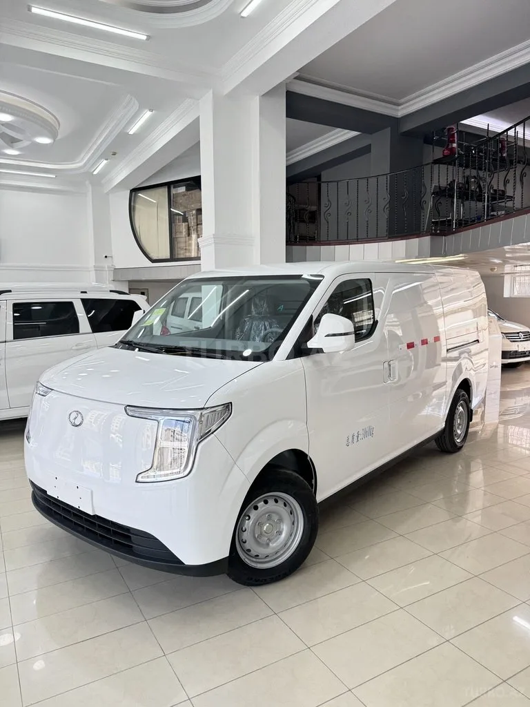 DFSK Ruichi R5 — foto 2/4