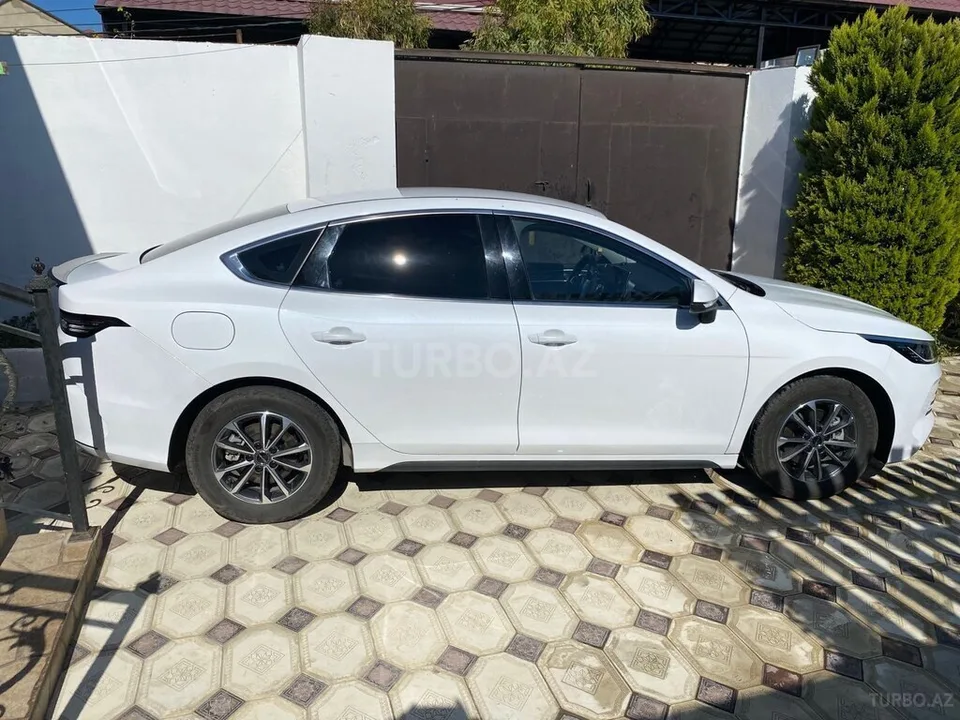 BYD Destroyer 05 — foto 4/4