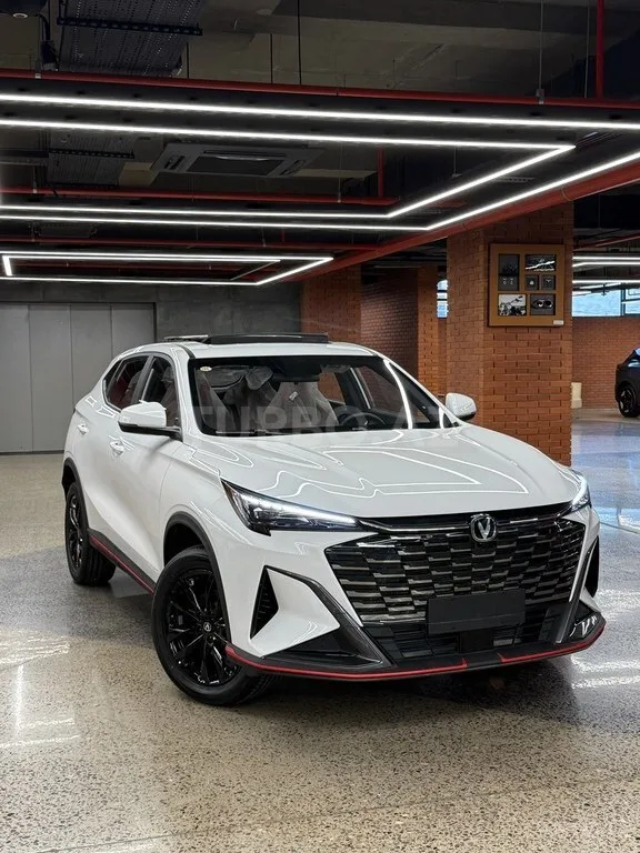 Changan Oshan X5 Plus — foto 2/4
