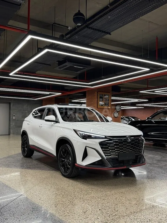 Changan Oshan X5 Plus — foto 4/4