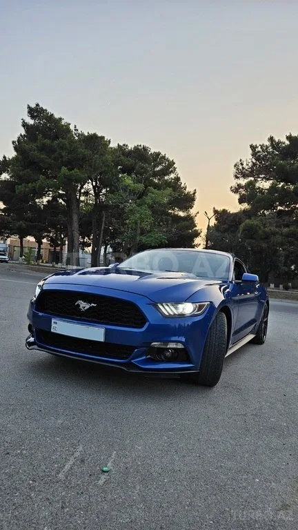 Ford Mustang — foto 1/4