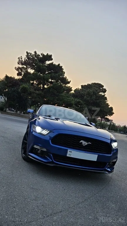 Ford Mustang — foto 4/4