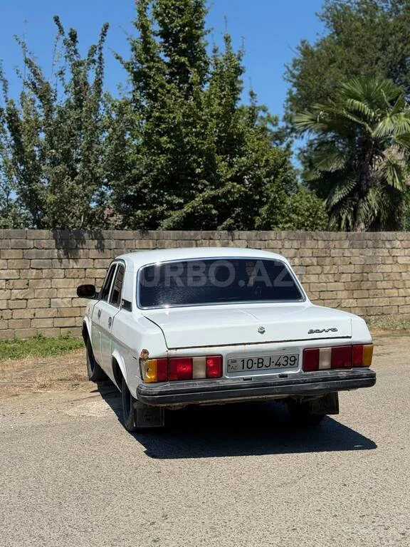 GAZ 31029 "Volga" — foto 4/4