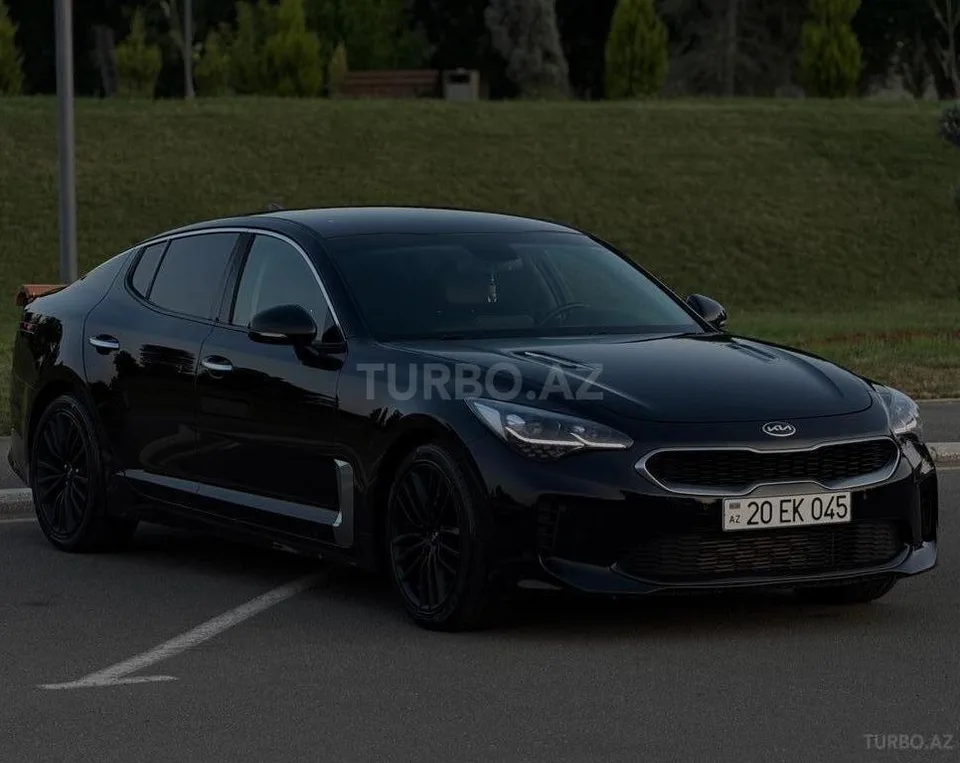 Kia Stinger — foto 1/4