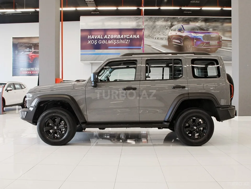 GWM (Great Wall Motor) Tank 300 — foto 4/4